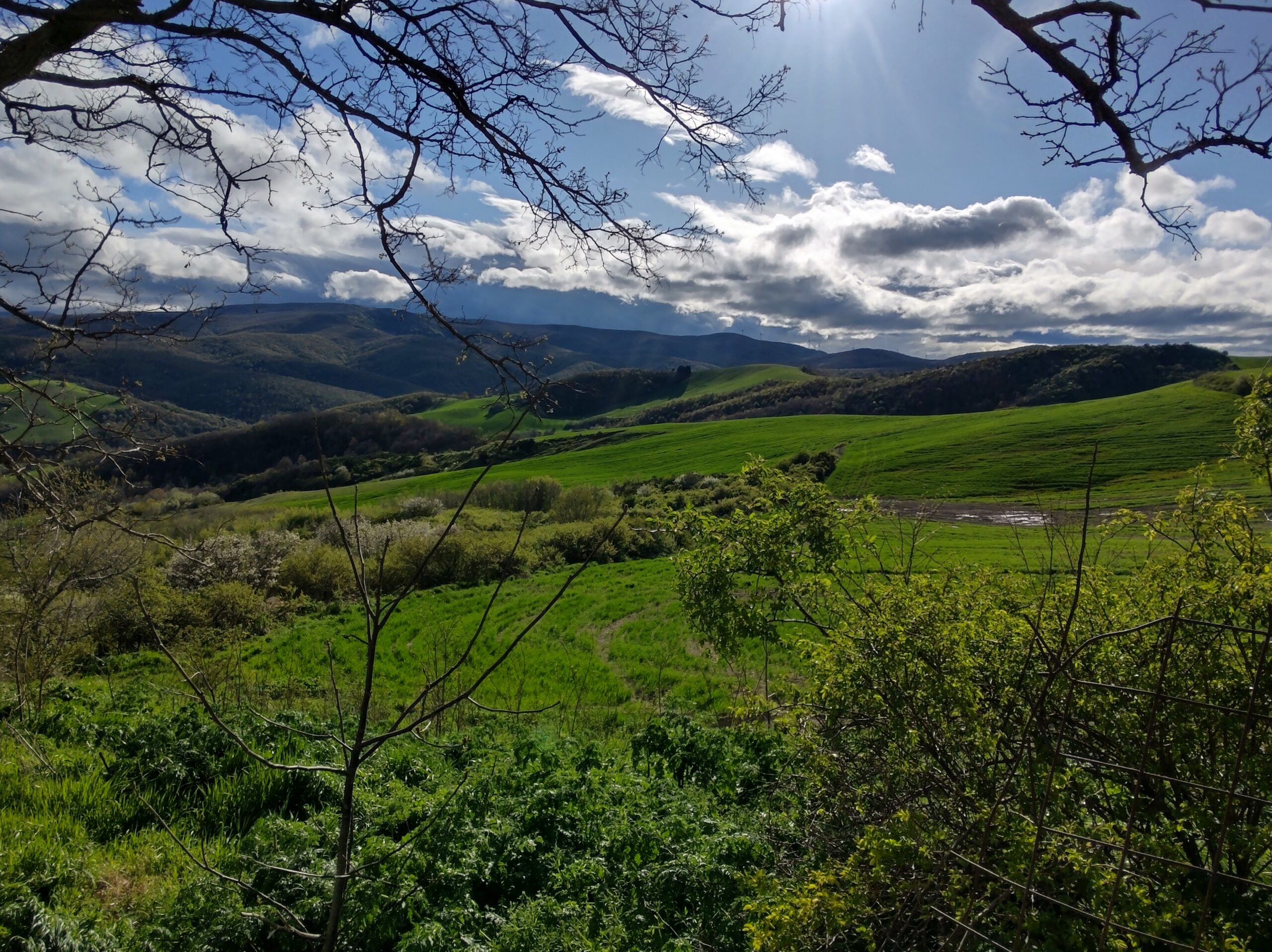 IMG_20220422_173327609_HDR